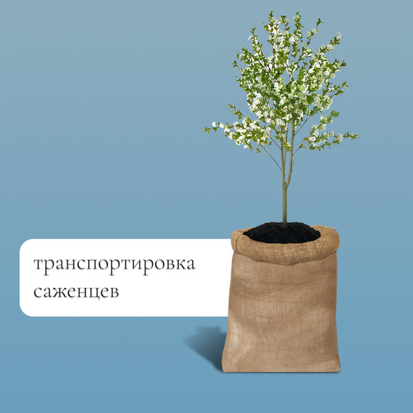 Изображение товара Мешок садовый GREENGO джутовый 57x90см / 9143389