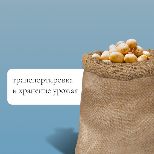 Изображение товара Мешок садовый GREENGO джутовый 57x90см / 9143389