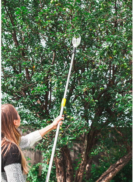 Изображение товара Плодосъемник GREENGO 3036167