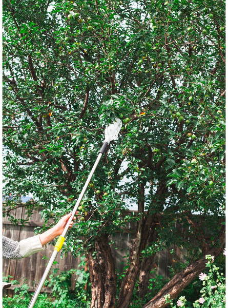 Изображение товара Плодосъемник GREENGO 3036167