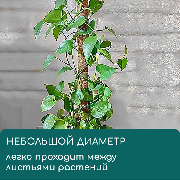 Изображение товара Опора для растений GREENGO 60см / 10337945