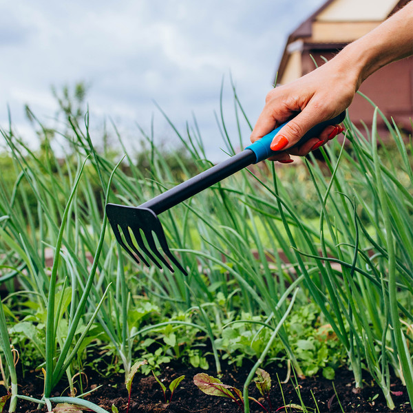 Изображение товара Грабли ручные GREENGO 150706