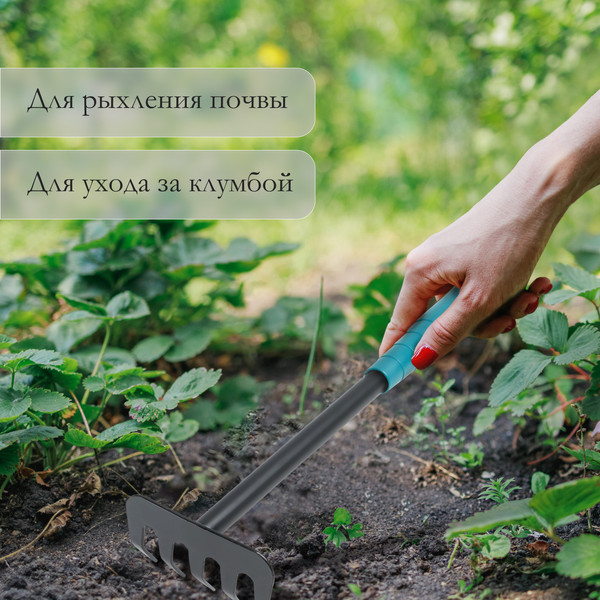 Изображение товара Грабли ручные GREENGO 150706