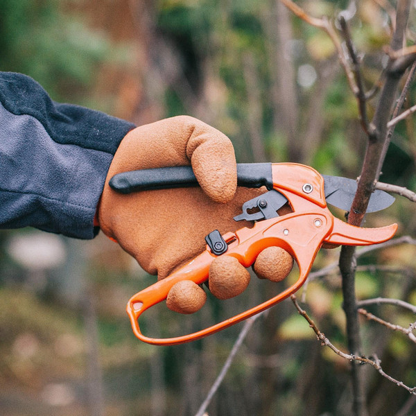 Изображение товара Секатор механический GREENGO 1773785