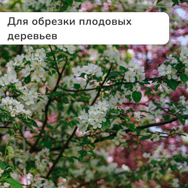 Изображение товара Секатор механический GREENGO 3809461