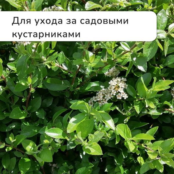 Изображение товара Секатор механический GREENGO 3809461