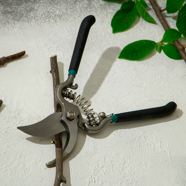 Изображение товара Секатор механический GREENGO 3808471