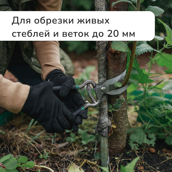 Изображение товара Секатор механический GREENGO 3808471