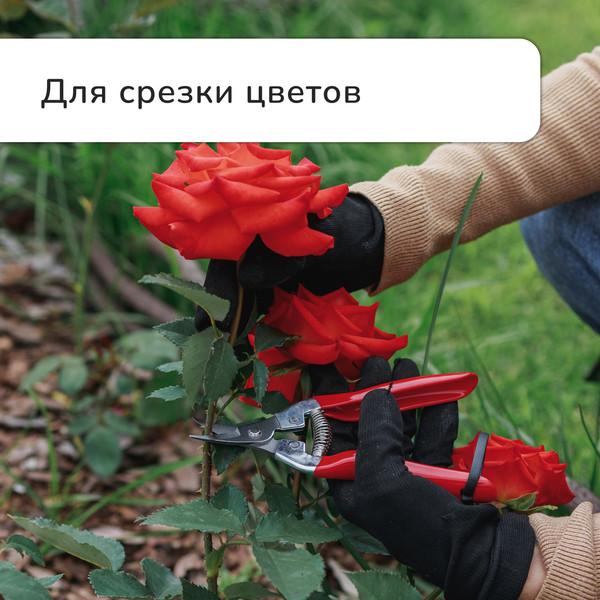 Изображение товара Садовые ножницы механические GREENGO 3028457