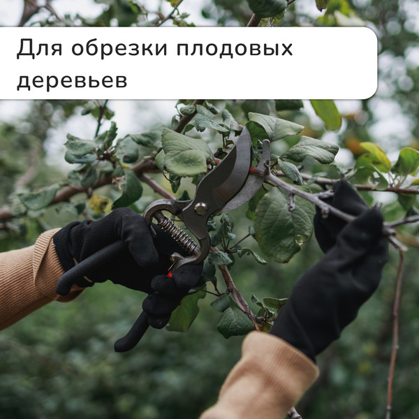 Изображение товара Секатор механический GREENGO 150793