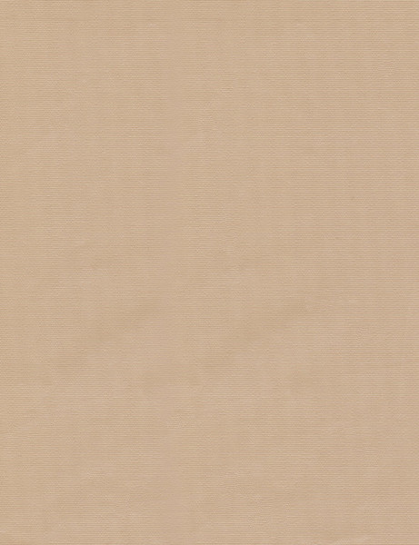 Изображение товара Рулонная штора Delfa Сантайм Уни СРШ-03Д130 (180x170, песок)