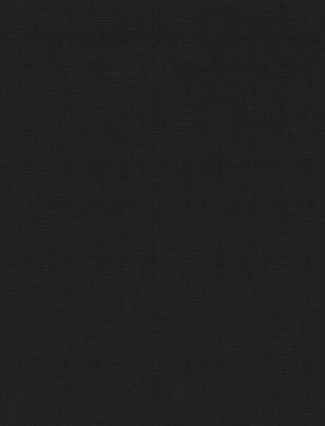 Изображение товара Рулонная штора Delfa Сантайм Лен СРШ-03Д2681 (130x170, черный)