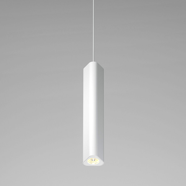 Изображение товара Потолочный светильник Elektrostandard 50310 LED (белый)