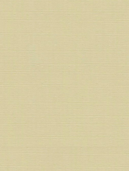 Изображение товара Рулонная штора Delfa Сантайм Лен СРШ-03Д2875 (150x170, шампань)