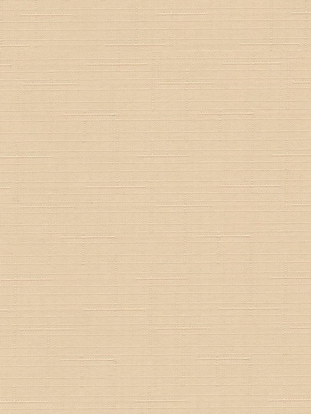 Изображение товара Рулонная штора Delfa Сантайм Лен СРШ-03Д2070 (130x170, абрикосовый)