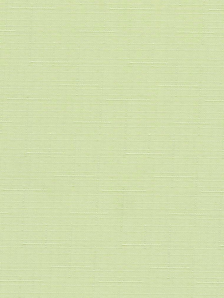 Изображение товара Рулонная штора Delfa Сантайм Лен СРШ-03Д2468 (140x170, салатовый)