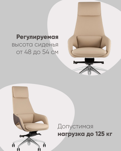 Изображение товара Кресло офисное TopChairs Reign A666 2006-11 (бежевый)