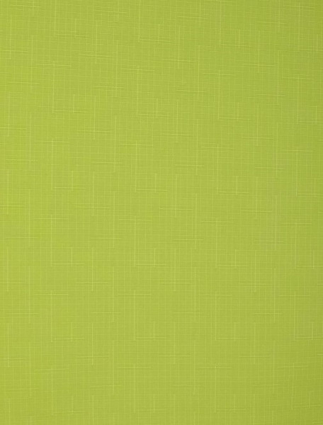 Изображение товара Рулонная штора Delfa Сантайм Лен СРШ-03Д2653 (150x170, светло-зеленый)