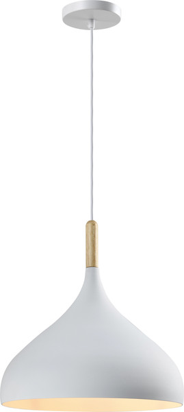 Изображение товара Потолочный светильник Moderli Eline V11439-1P