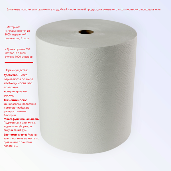 Изображение товара Бумажные полотенца BTG Clean C1000 двухслойные (1 рул, 200м)