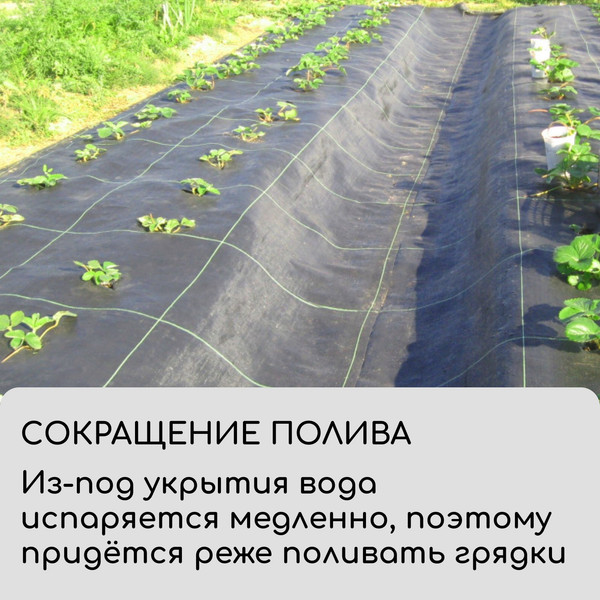 Изображение товара Укрывной материал GREENGO Агроткань 10x3.2м 100г/м2