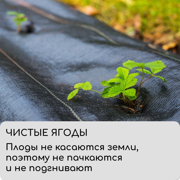 Изображение товара Укрывной материал GREENGO Агроткань 10x3.2м 100г/м2