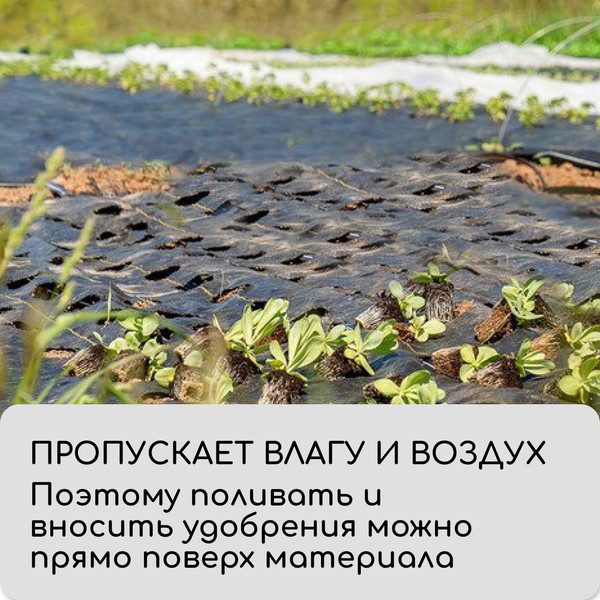 Изображение товара Укрывной материал GREENGO Агроткань 10x3.2м 100г/м2