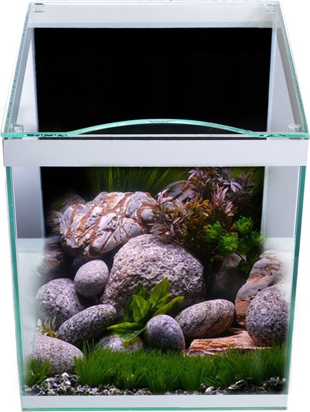 Изображение товара Аквариум Aqua-Vita Кубик 10л (черный/белый)