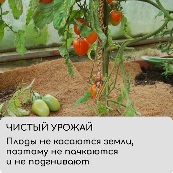 Изображение товара Укрывной материал Мульчаграм Кокосовое полотно для мульчирования 3x0.5м