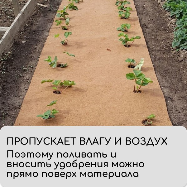 Изображение товара Укрывной материал Мульчаграм Кокосовое полотно для мульчирования 3x0.5м