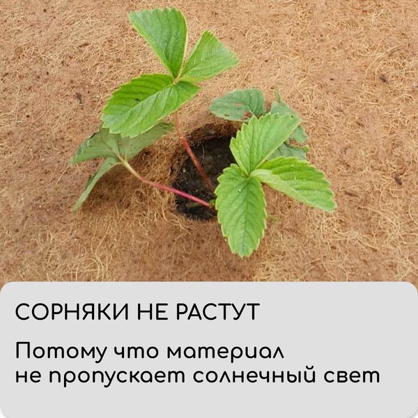 Изображение товара Укрывной материал Мульчаграм Кокосовое полотно для мульчирования 3x0.5м
