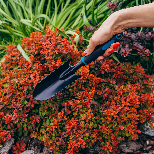 Изображение товара Совок садовый GREENGO 9905727