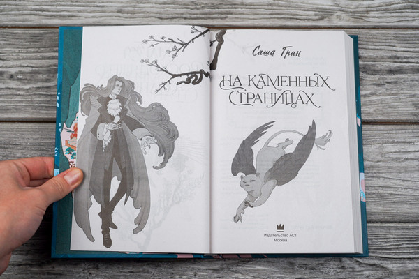 Изображение товара Книга АСТ На каменных страницах, твердая обложка (Гран Саша)