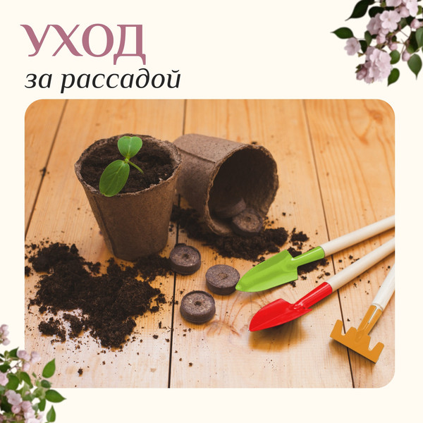 Изображение товара Набор садовых инструментов GREENGO 4496947