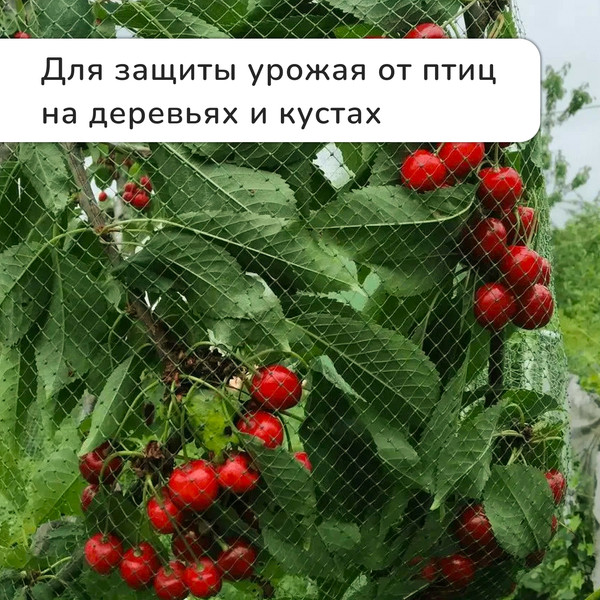 Изображение товара Защитная сетка для растений GREENGO Мягкая 5x4м ячейка 15x15мм от птиц