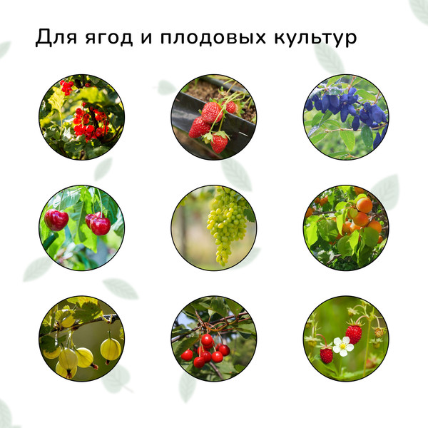 Изображение товара Защитная сетка для растений GREENGO Мягкая 10x4м ячейка 15x15мм от птиц