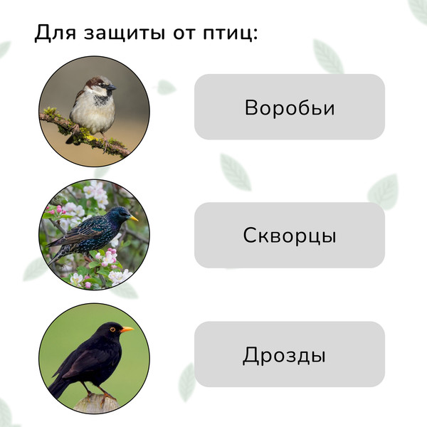 Изображение товара Защитная сетка для растений GREENGO Мягкая 10x4м ячейка 15x15мм от птиц