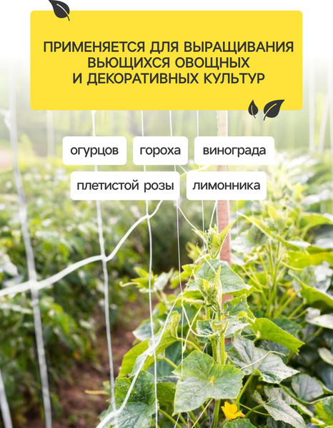 Изображение товара Сетка садовая GREENGO Шпалерная 10x2м ячейка 15x15см