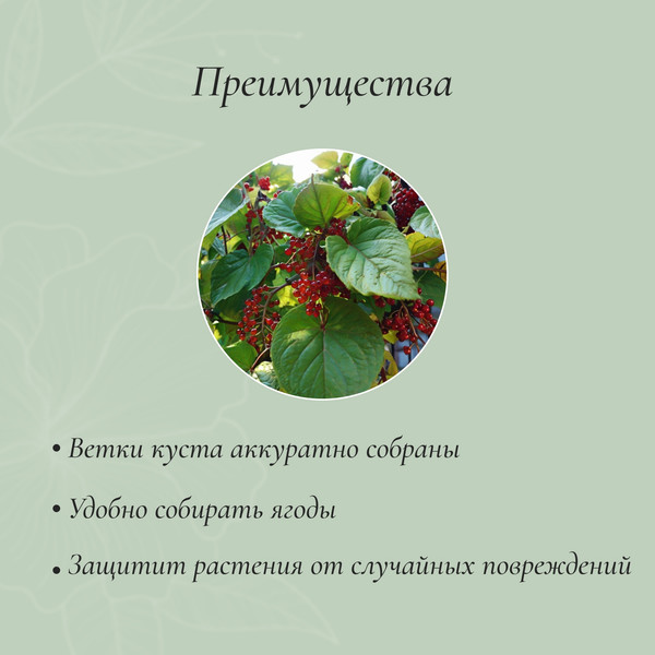 Изображение товара Опора для растений Sima-Land Кустодержатель 4181505 (2шт, зеленый)