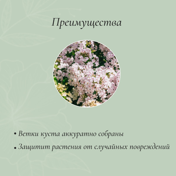 Изображение товара Опора для растений Sima-Land Кустодержатель 2083018 (зеленый)