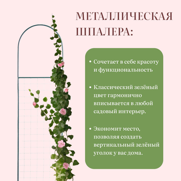 Изображение товара Шпалера Sima-Land Сетка мини 2083066 (зеленый)