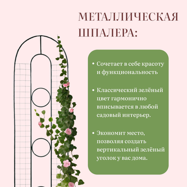 Изображение товара Шпалера Sima-Land 3 кольца 3538845 (зеленый)