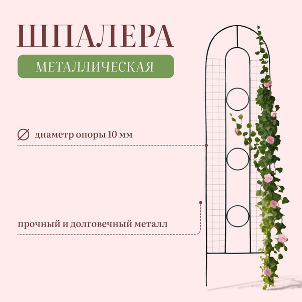 Изображение товара Шпалера Sima-Land 3 кольца 3538845 (зеленый)