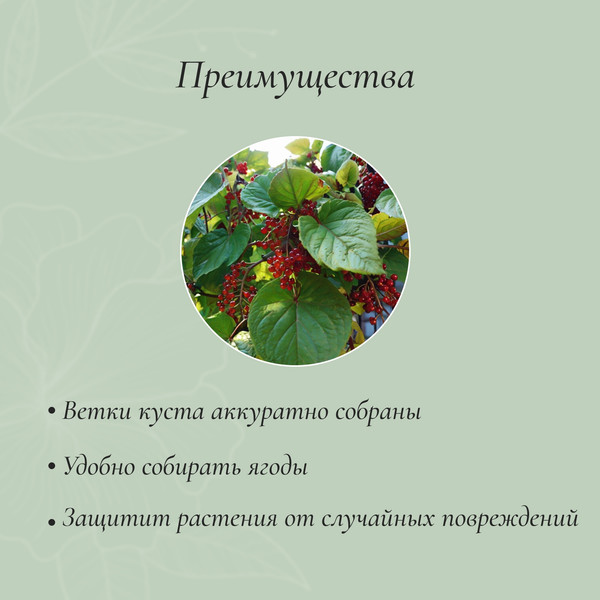 Изображение товара Опора для растений Sima-Land Кустодержатель 3667427 (2шт, зеленый)