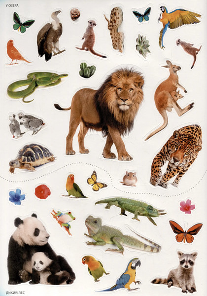 Изображение товара Развивающая книга Робинс Фотонаклейки. В зоопарке (9785436609591)
