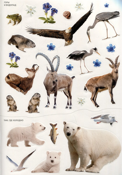 Изображение товара Развивающая книга Робинс Фотонаклейки. В зоопарке (9785436609591)