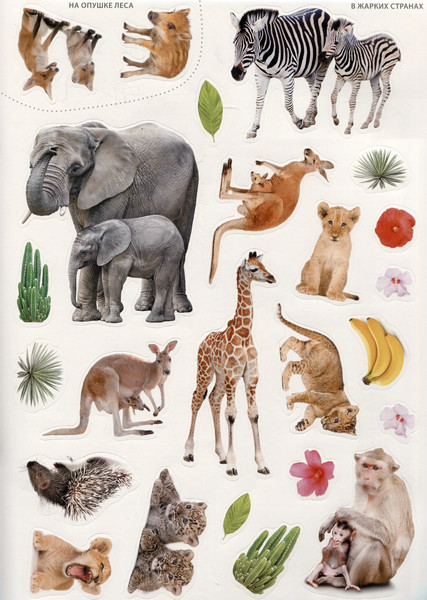 Изображение товара Развивающая книга Робинс Фотонаклейки. Мир животных (9785436609607)