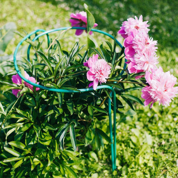 Изображение товара Опора для растений Sima-Land Кустодержатель 4181507 (2шт, зеленый)