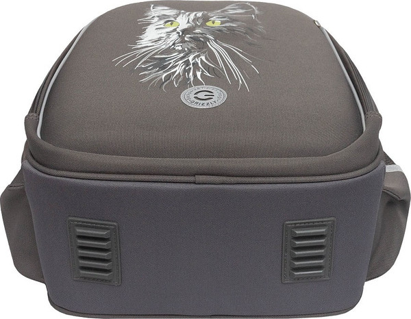 Изображение товара Школьный рюкзак Grizzly RAz-586-15 (серый)