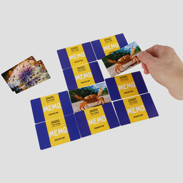 Изображение товара Настольная игра Три совы Мемо. Водный мир / НИ_55054